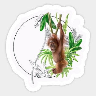 Little orangutan Sticker